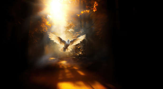 Holy Spirit lighting up the darkness.