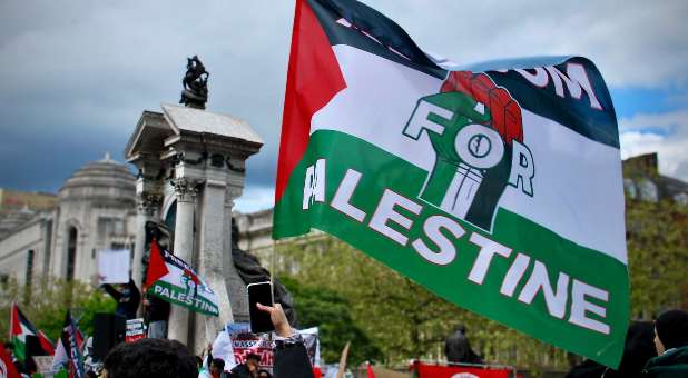 2023 11 Brown Free Palestine Unsplash