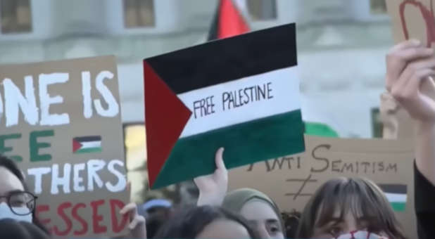 American anti-Israel protests