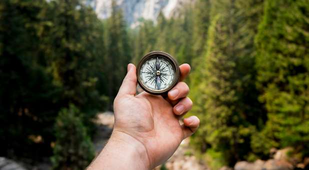 hand holding compass above forest path
