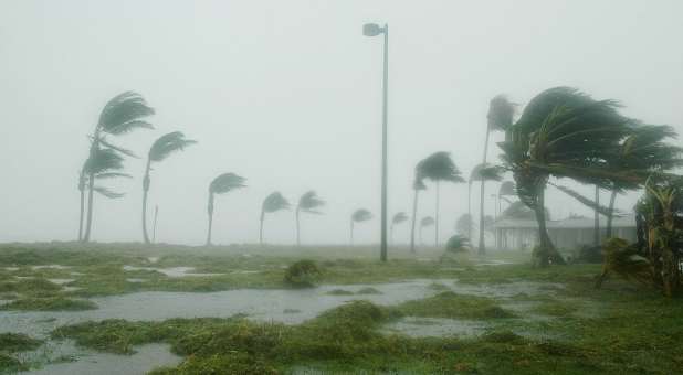Palm trees bending, ground flooding during hurricane in Florida.